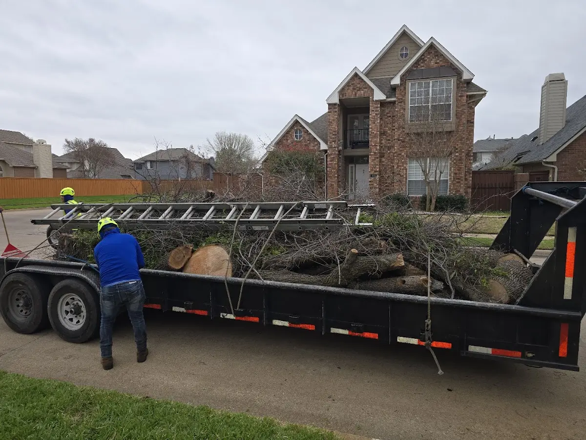 Expert Tree Fertilization with proper safety equipment in Proctorsville